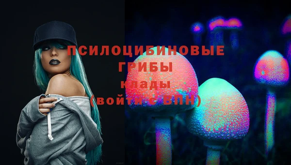 круглые Белокуриха