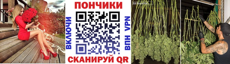 Бошки марихуана SATIVA & INDICA  цена наркотик  Шлиссельбург 